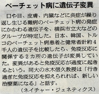 朝日新聞『ベーチェット病に遺伝子変異』