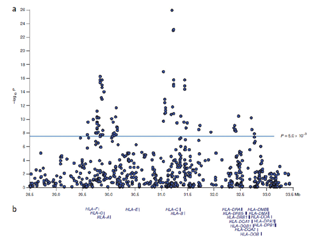 HLA領域のGWASデータ
