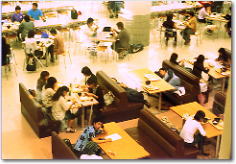 �B�e�F�]���@�S��i�ʐ^���j�@�k�b���i�c