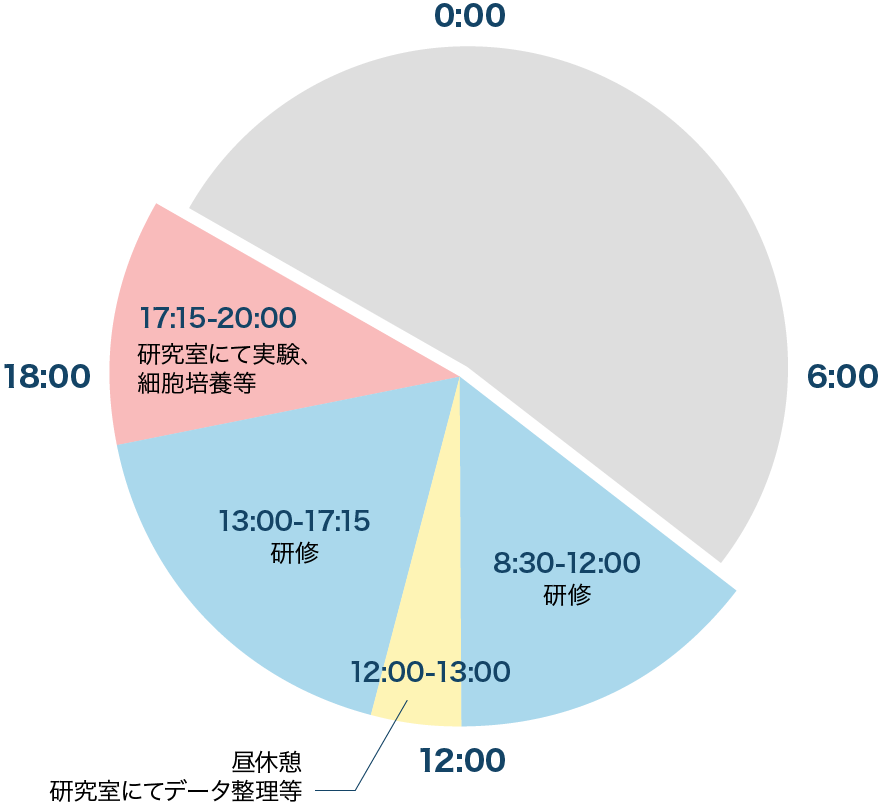 1日のスケジュール