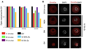Clinical Epigenetics 2021