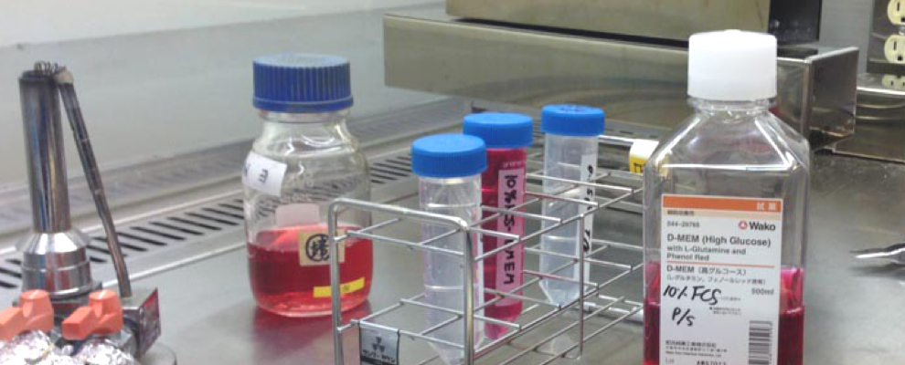 Stem cell cultures