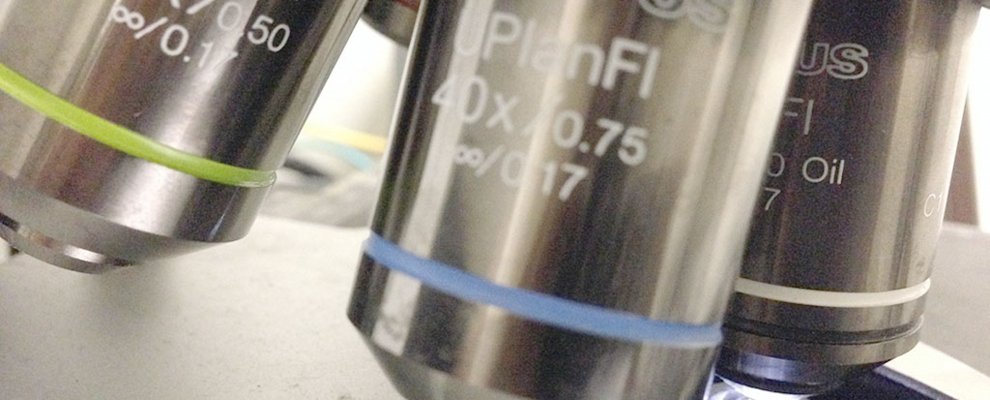 High-performance optical microscope objective lenses