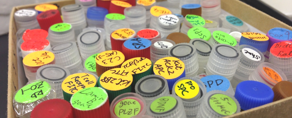 Molecular biology markers and antibodies