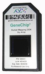 GeneChip Human Mapping 500K Array set