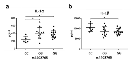 図3：健常者末梢血単核球におけるIL1A-IL1B領域のジェノタイプ（rs4402765；リスクアリルC）とタンパク質発現量。a　IL-1α、b　IL-1β