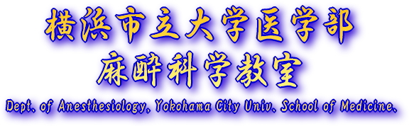 ���T�C�g�͍�������ǂ���