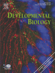 Developmental Biology1215