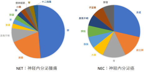 図2　2021年NET、NEC患者さんの初発部位の内訳