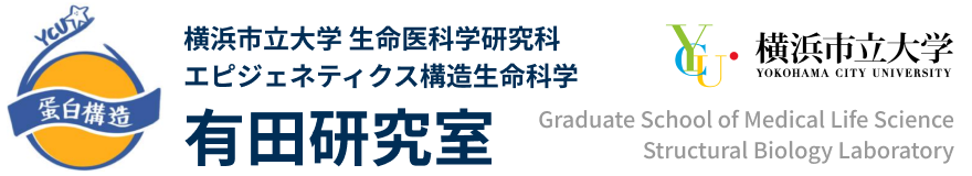 有田研究室｜横浜市立大学 生命医科学研究科 エピジェネティクス構造生命科学