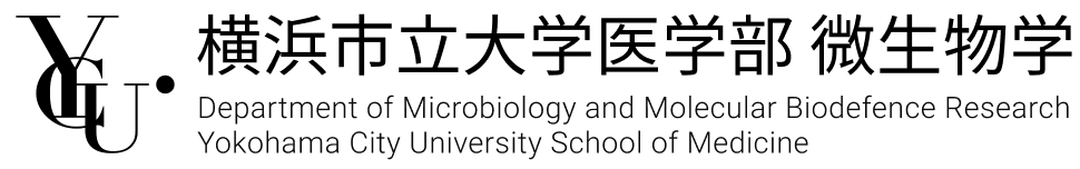 横浜市立大学医学部 微生物学 Asano Laboratory | Department of Microbiology and Molecular Biodefence Research Yokohama City University School of Medicine