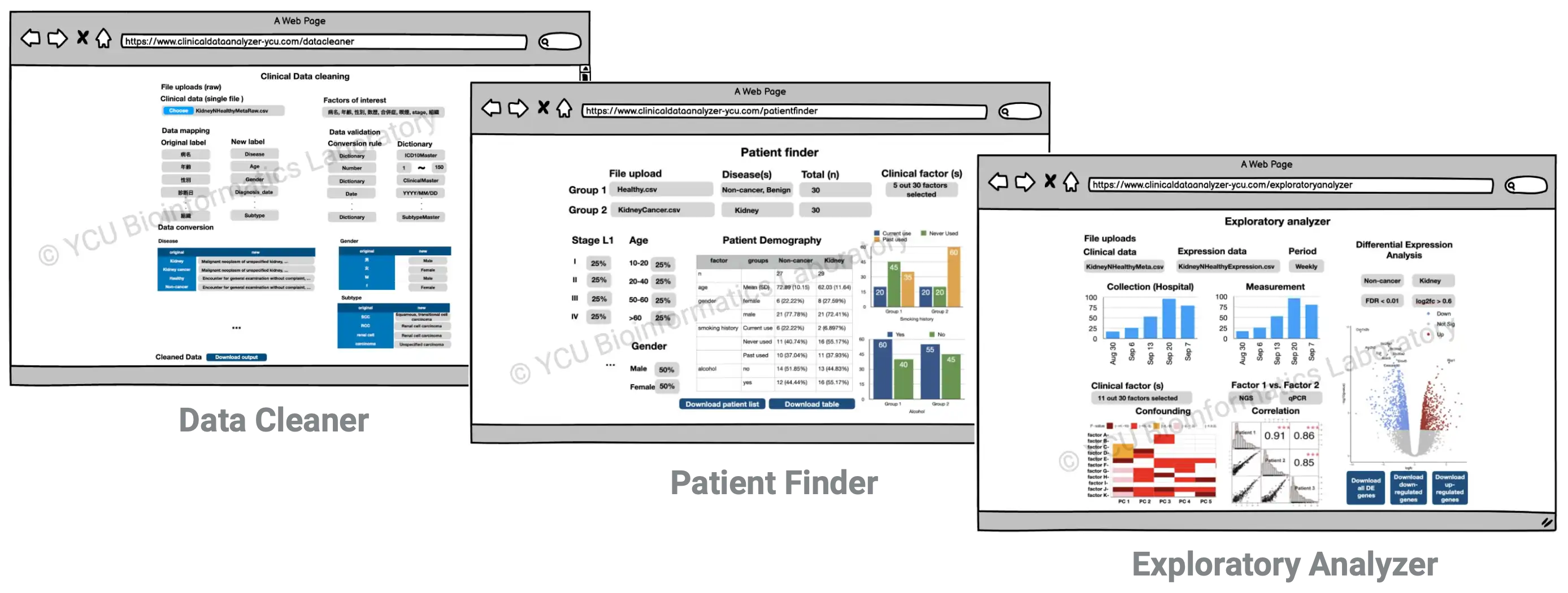 Clinical Data Analyzer