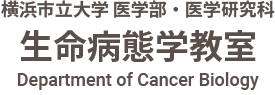 Department of Cancer Biology