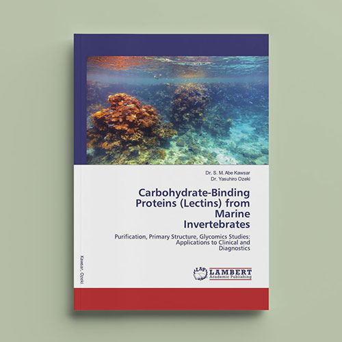 Carbohydrate-Binding Proteins (Lectins) from Marine Invertebrates. Purification, primary structure, glycomics studies: Applications to clinical and diagnostics