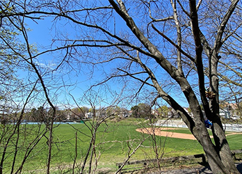 写真 アパートの裏にある公園では野球場やテニスコート