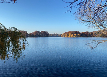 写真 公園にある湖