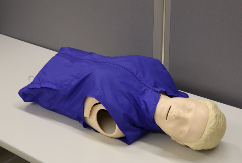 BLSレサシアン(成人)